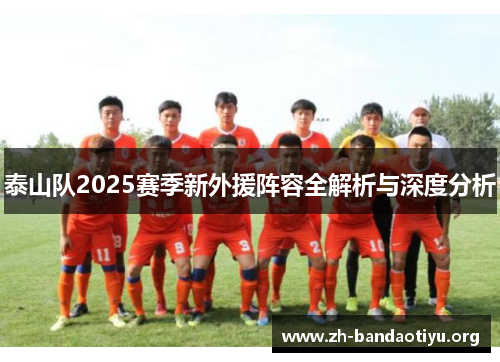 泰山队2025赛季新外援阵容全解析与深度分析