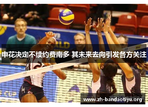申花决定不续约费南多 其未来去向引发各方关注