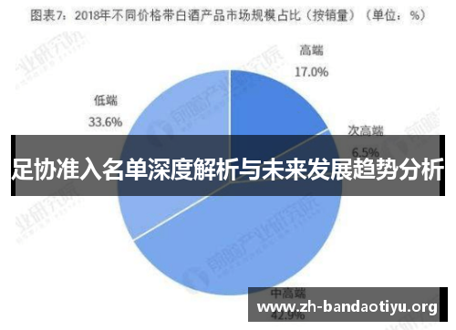 足协准入名单深度解析与未来发展趋势分析